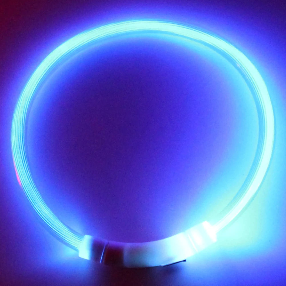 Rechargeable LED Dog Collars with Luminous Flashing Light - USB Charging, Available in Sizes S, M, L
