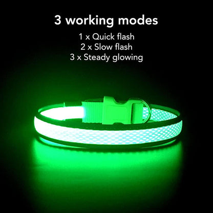 USB Rechargeable LED Dog Collar - Adjustable Super Bright Glowing Light for Night Walking (Green, Small)