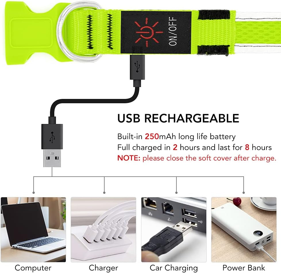 USB Rechargeable LED Dog Collar - Adjustable Super Bright Glowing Light for Night Walking (Green, Small)