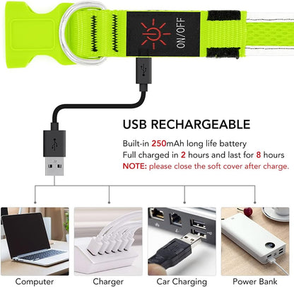 USB Rechargeable LED Dog Collar - Adjustable Super Bright Glowing Light for Night Walking (Green, Small)
