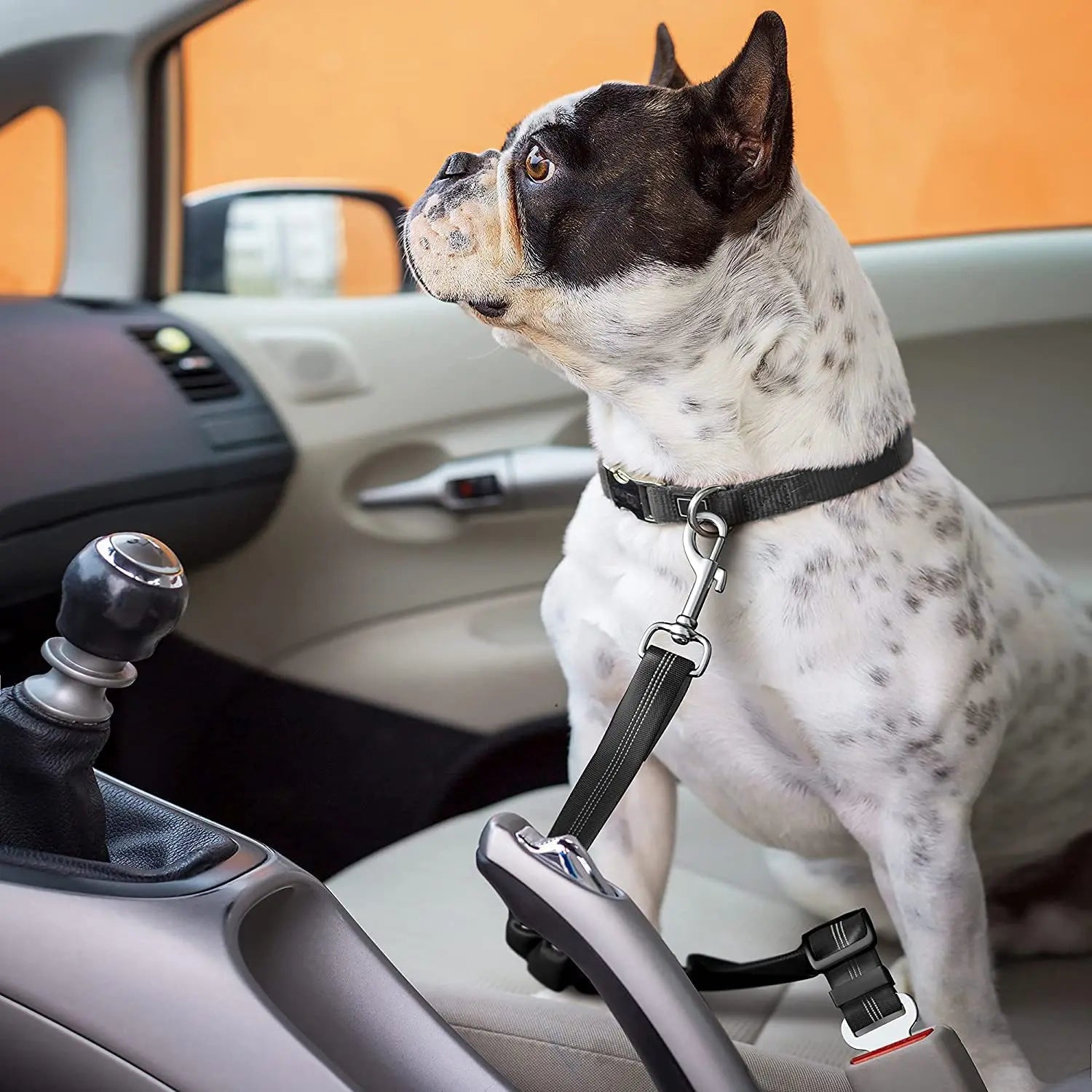 Adjustable Elastic Dog Car Seat Belt for Pet Safety During Travel - Essential Accessory for Dogs and Cats