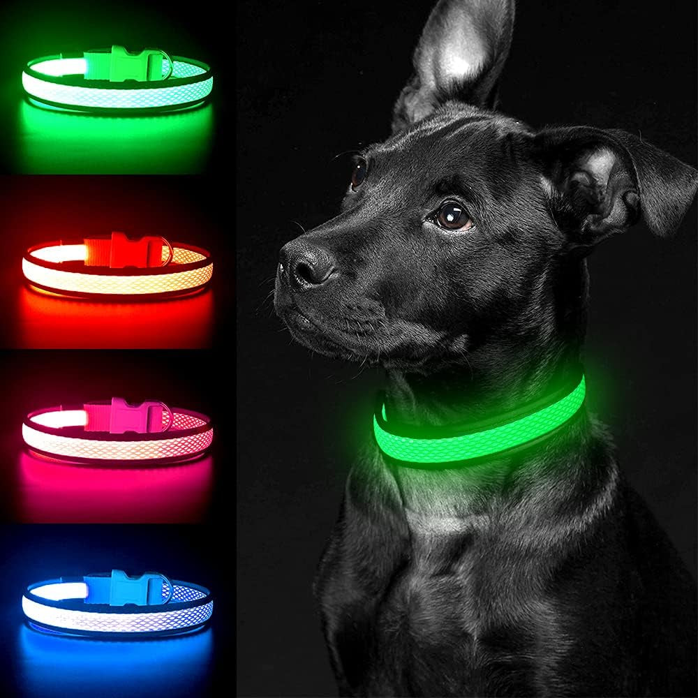 USB Rechargeable LED Dog Collar - Adjustable Super Bright Glowing Light for Night Walking (Green, Small)