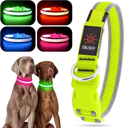 USB Rechargeable LED Dog Collar - Adjustable Super Bright Glowing Light for Night Walking (Green, Small)