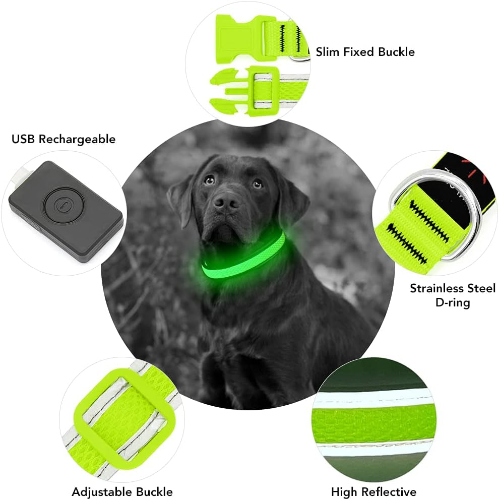 USB Rechargeable LED Dog Collar - Adjustable Super Bright Glowing Light for Night Walking (Green, Small)