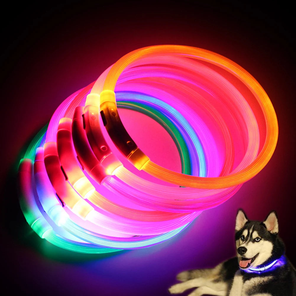 Rechargeable LED Dog Collars with Luminous Flashing Light - USB Charging, Available in Sizes S, M, L