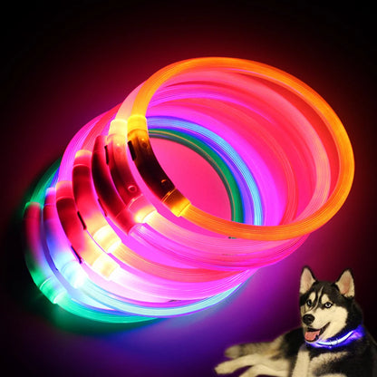 Rechargeable LED Dog Collars with Luminous Flashing Light - USB Charging, Available in Sizes S, M, L