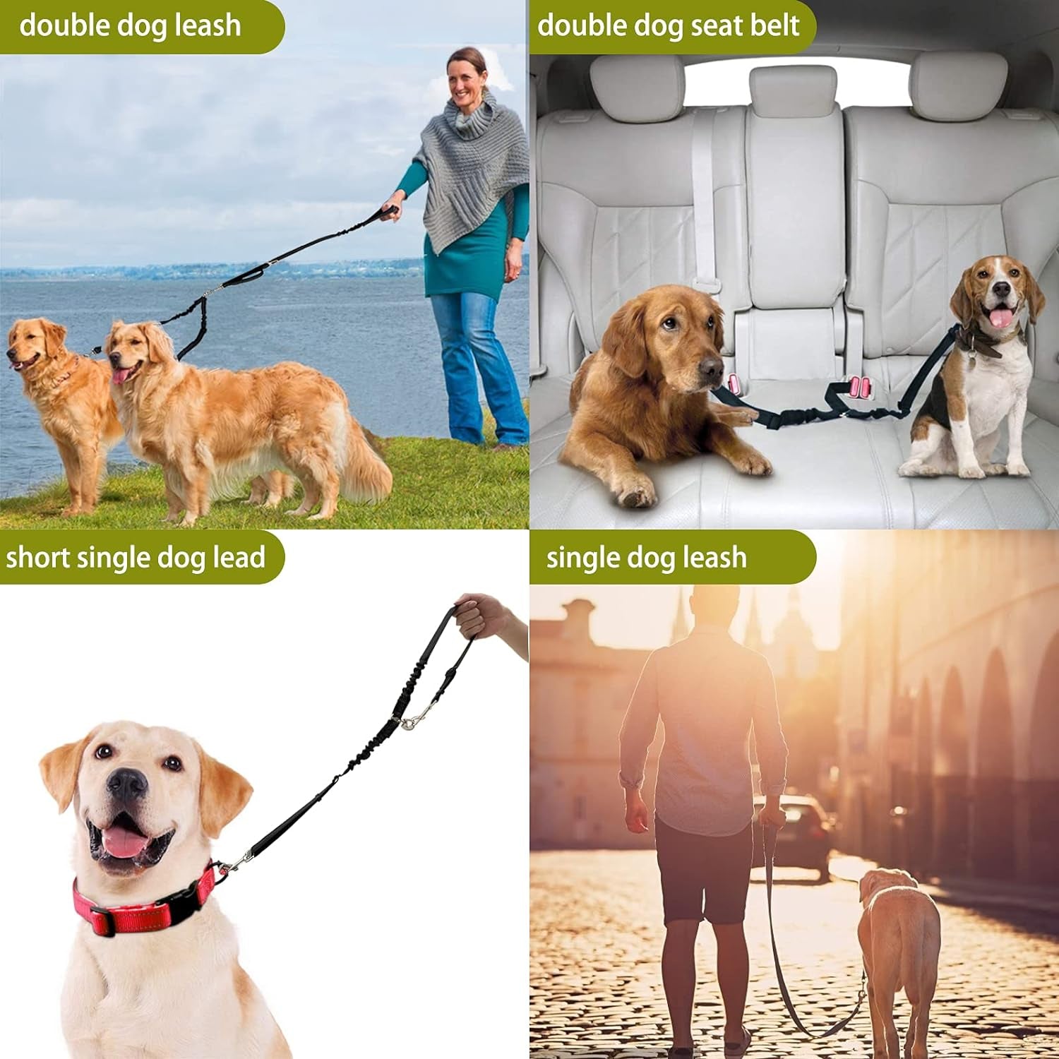 360° Tangle-Free Double Dog Leash with 2-in-1 Bungee Seatbelt | Adjustable Coupler, Dual Padded Handles, and Shock Absorbing Buffer for Medium and Large Dogs - Ideal for Walking and Car Travel