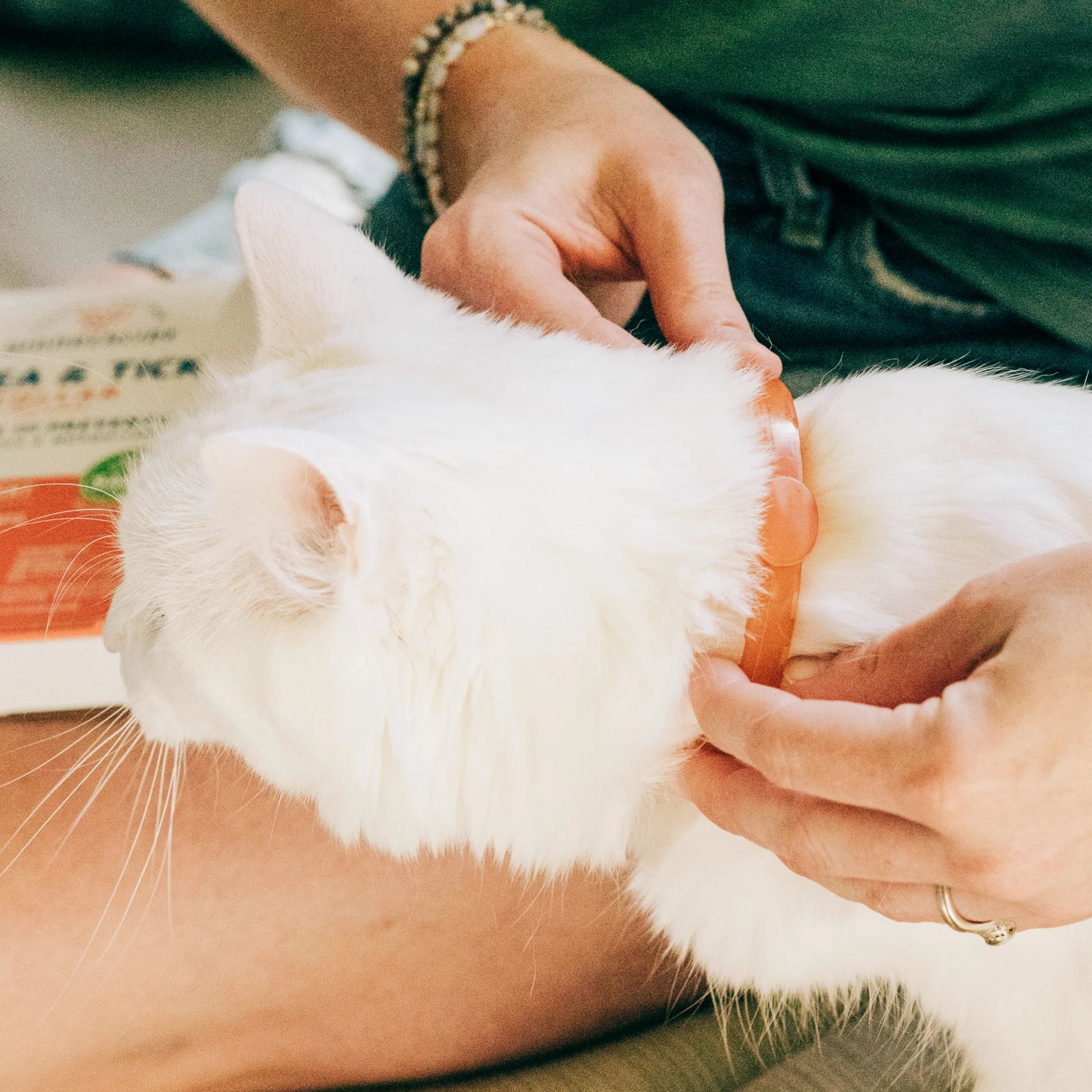 Flea and Tick Prevention Collar for Dogs and Cats