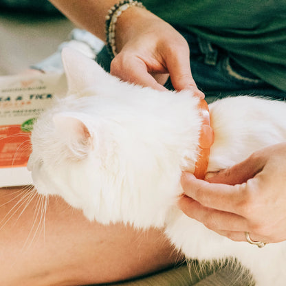 Flea and Tick Prevention Collar for Dogs and Cats
