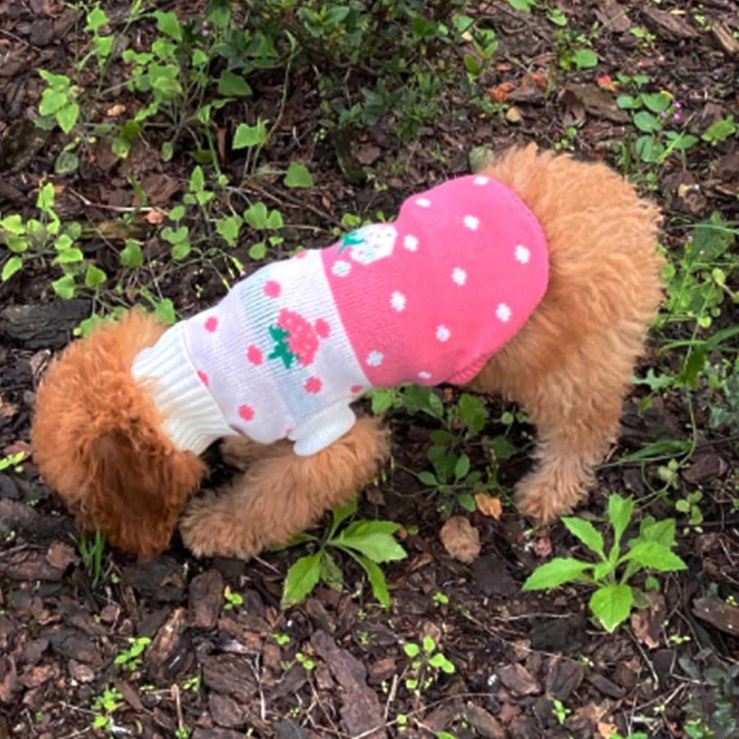 Classic Knit Turtleneck Dog Sweater - Winter Warmth with Strawberry and Heart Design (Pink, Small) | Lightweight, Cozy Knitwear for Daily Wear, Easy to Put On and Take Off