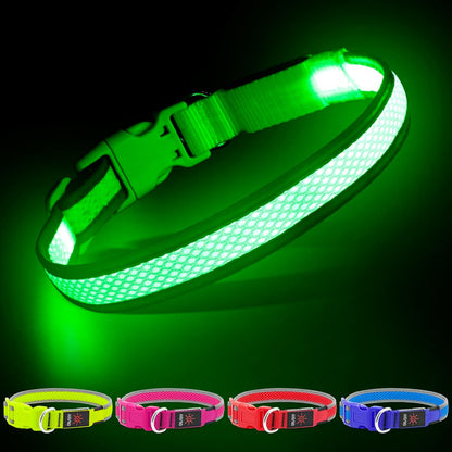 USB Rechargeable LED Dog Collar - Adjustable Super Bright Glowing Light for Night Walking (Green, Small)